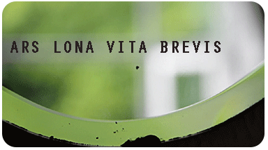 Ars Longa Vita Brevis